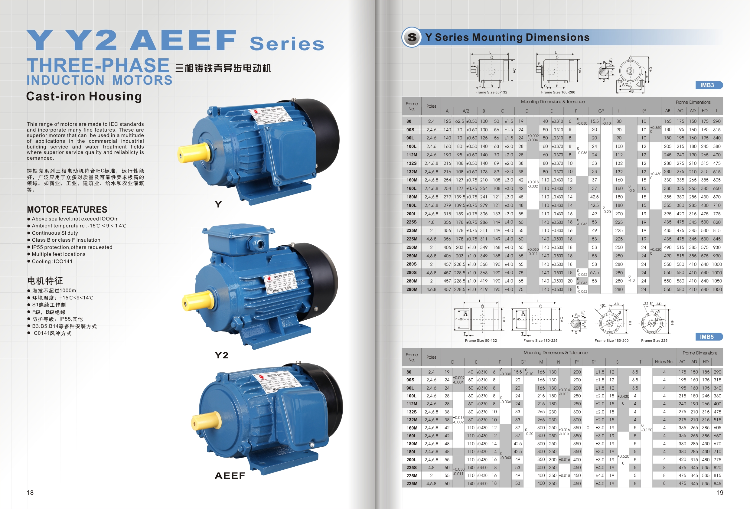 05 Y Y2 AEEF.jpg